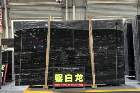 銀白龍
