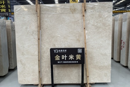 金葉米黃