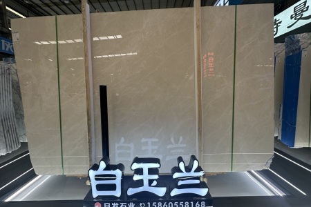白玉蘭