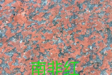 南非紅