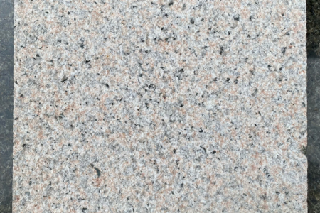 寧城紅荔枝面