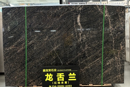 龍舌蘭