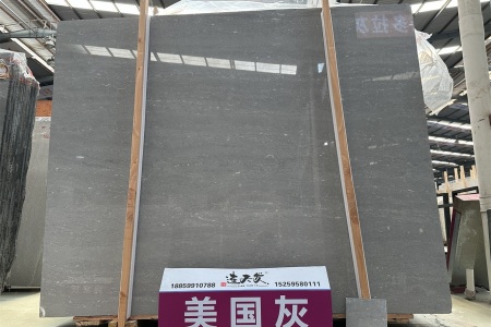 美國灰