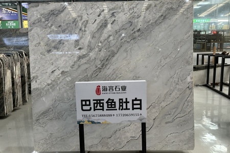 巴西魚肚白