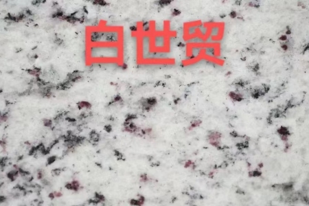 白世貿(mào)