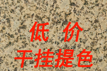 大黃新卡麥菊花黃金卡麥