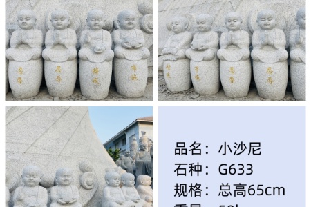 小沙尼