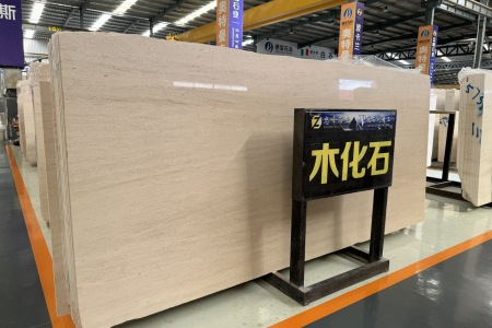 木化石