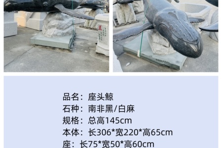 座頭鯨