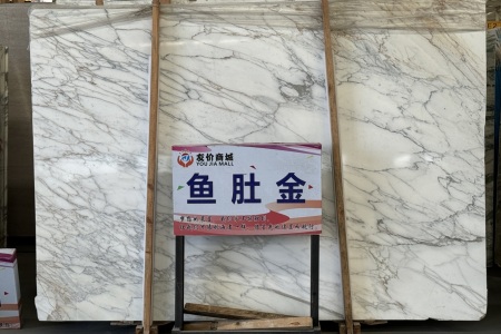 魚肚金