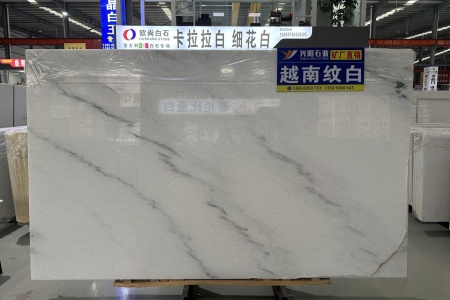 越南紋白