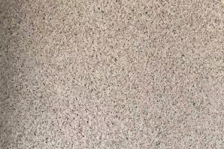 香檳翠火燒面