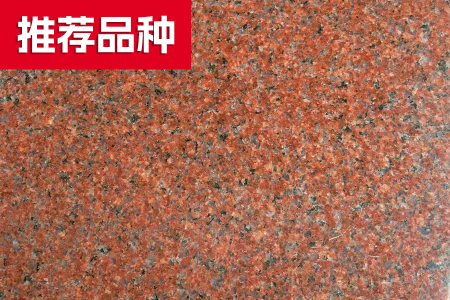 細花印度紅