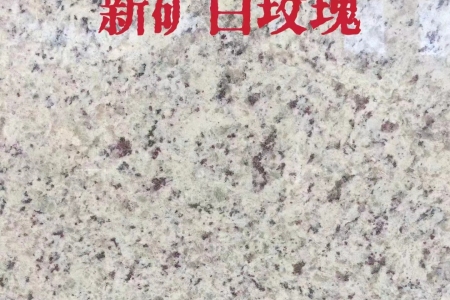 新礦白玫瑰