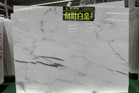 魚(yú)肚白金