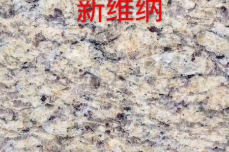 新維納