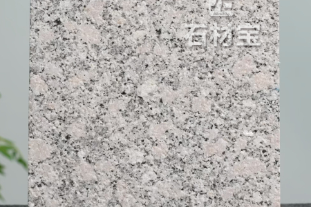梨花紅荔枝面