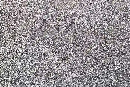 西鄉(xiāng)黑荔枝面