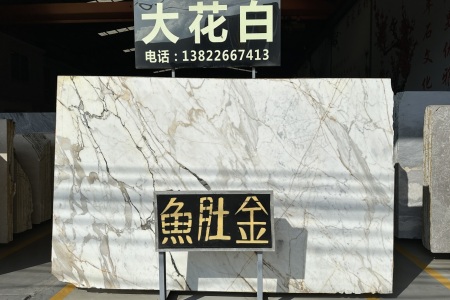 魚肚金