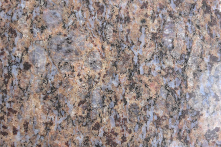 歐亞金麻小花