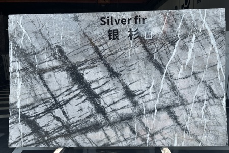 銀杉