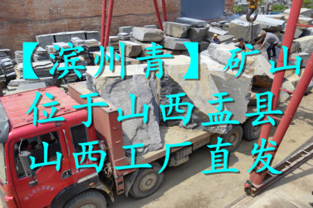 濱州青(北大青)荒料