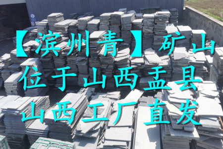 濱州青（毛板堆場）