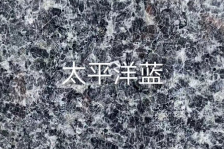 太平洋藍(lán) 太平洋蘭