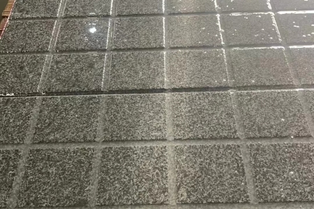 新芝麻黑-小蘭寶-654