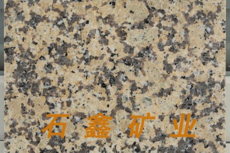 新卡麥金卡麥