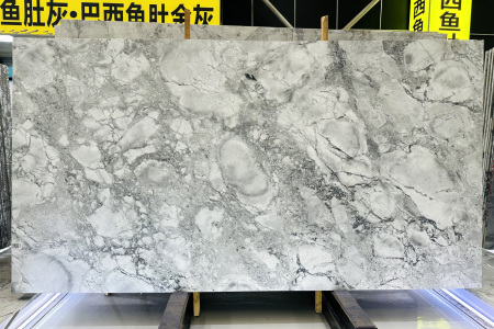 巴西魚肚灰