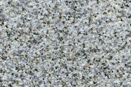 黃金麻荔枝面
