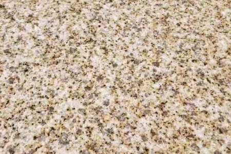 隨州黃金麻大黃荔枝面