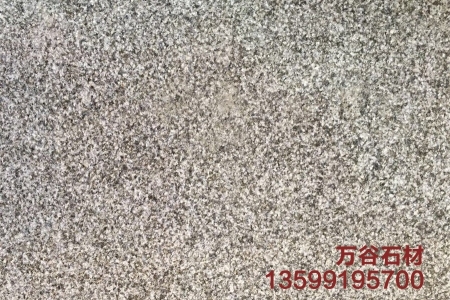 濱州青荔枝面