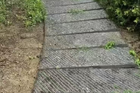地鋪石   青石板