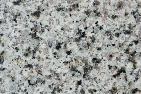 紫金白麻