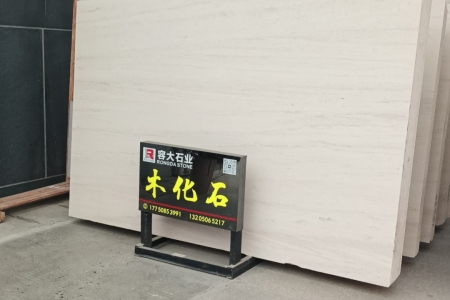 木化石