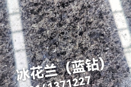 冰花蘭，冰花藍(lán)，海絲藍(lán)，