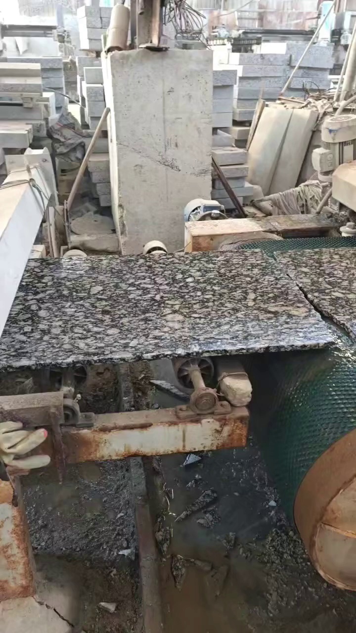 海浪花（浪花白）