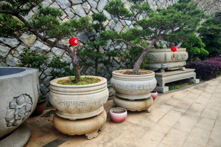 石雕魚缸水缸樹盆樹缸樹缽花盆花缽蓮花缸荷花缸