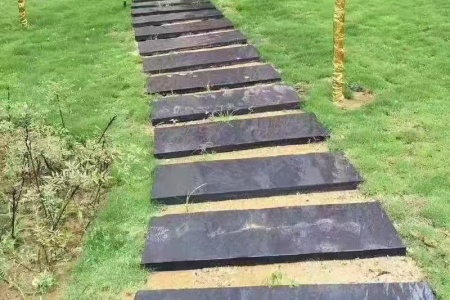 蓮花踏步
