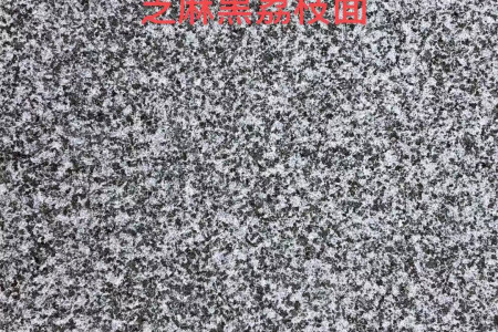 廣西芝麻黑荔枝面
