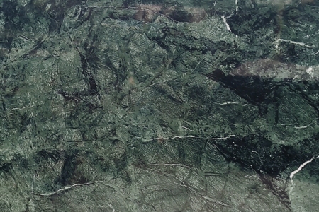 森林綠
