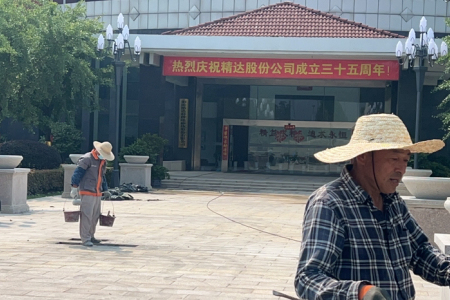 咖啡鉆，金鉆麻，木馬綠13706042796