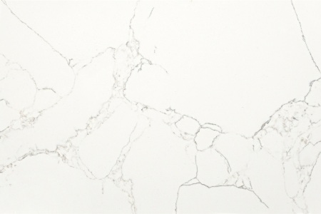 網(wǎng)紋白White Veined