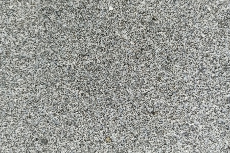山東芝麻黑(章丘黑)