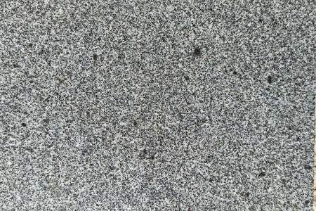 山東芝麻黑(章丘黑)