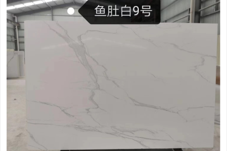 魚肚白9號