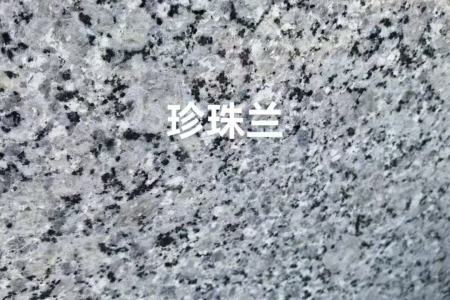 廣西珍珠蘭