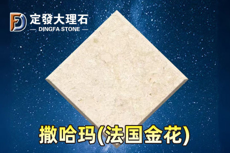 撒哈瑪(法國金花)